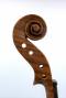 VN0439-SCROLL-3-WEB (2)
